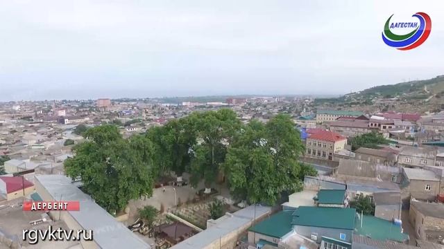 Российским деревом года стал дербентский платан смотреть онлайн