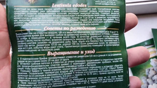 Обзор мицелия грибов и цены смотреть онлайн