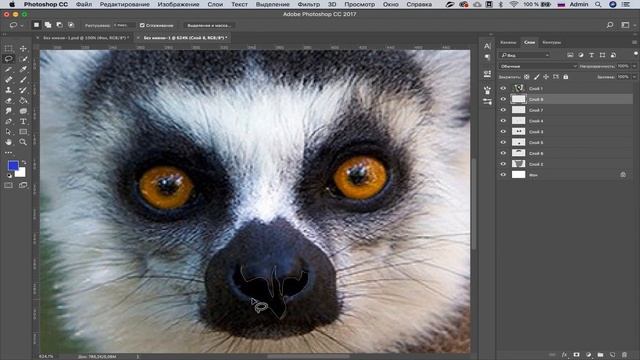 Отрисовка Лемура в Фотошопе. Ускоренное видео.