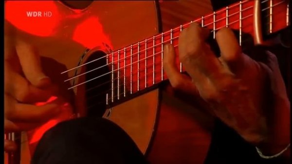 Dominic Miller & Band. "Fields of Gold"