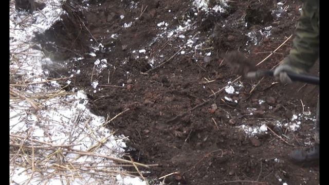 Шурфим старую деревню! нашли монеты, иконку... Роемся как кроты! смотреть онлайн