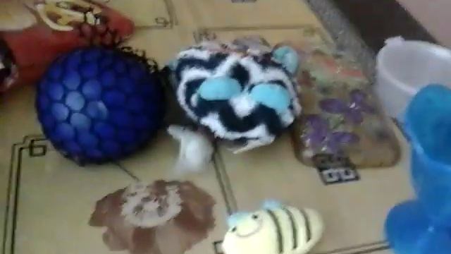 19 марта 2017 г. смотреть онлайн