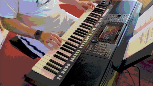 Jarzębina ( Rowan ) - Cover by Donkey - Yamaha PSR S770 смотреть онлайн