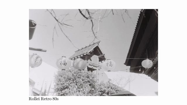 One Year of Film Photography смотреть онлайн