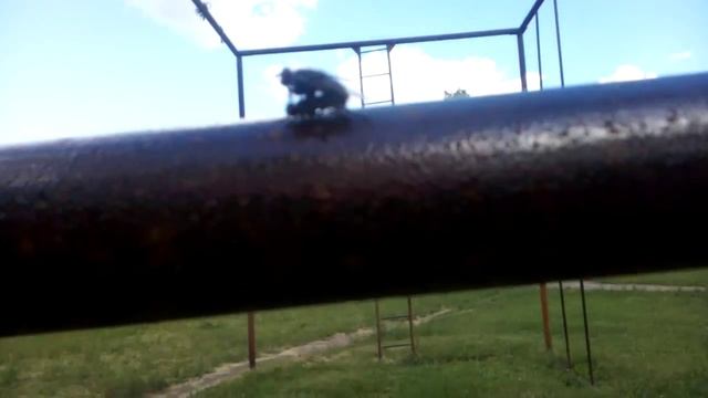 Мухи выросли смотреть онлайн