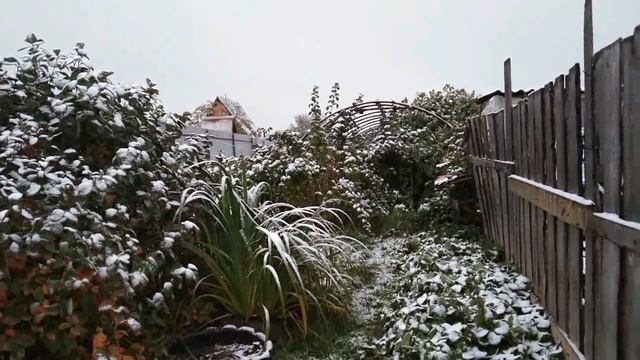 Доброе! Снежное утро. смотреть онлайн