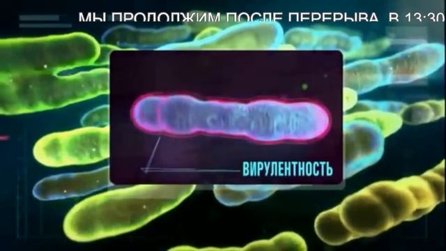 Научно-практическая конференция «Роль фундаментальных исследований во фтизиатрии» смотреть онлайн
