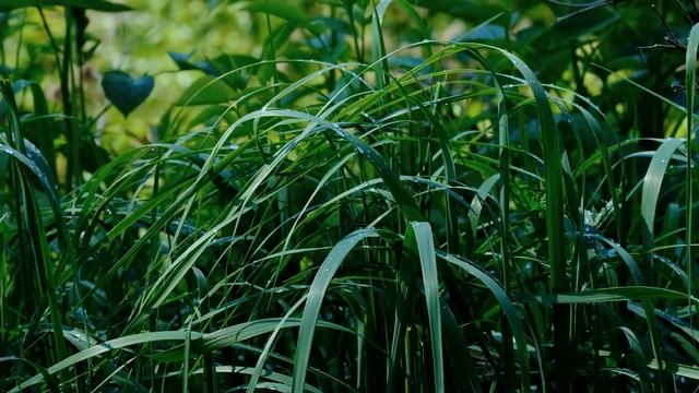 НЕРАЗГАДАННАЯ ТАЙНА ЧЕЛОВЕКА. 22.07.2022. смотреть онлайн