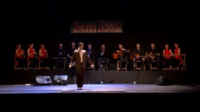 SENTIDOS FLAMENCO смотреть онлайн