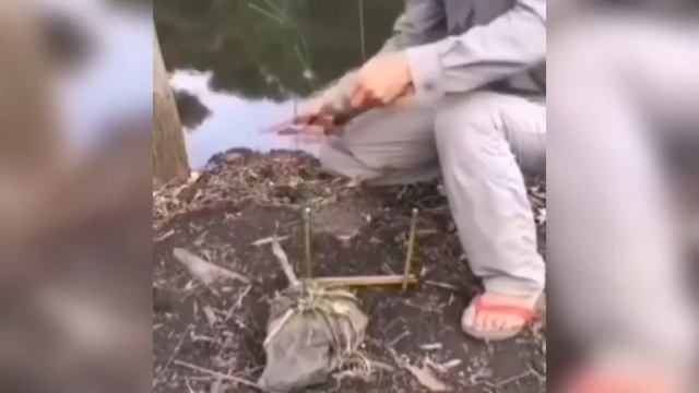 ПРИКОЛЫ В ТИК ТОК ДЛЯ ВЗРОСЛЫХ | ЧУДИКИ ИЗ ТИК ТОК | ЛУЧШИЕ ПРИКОЛЫ смотреть онлайн