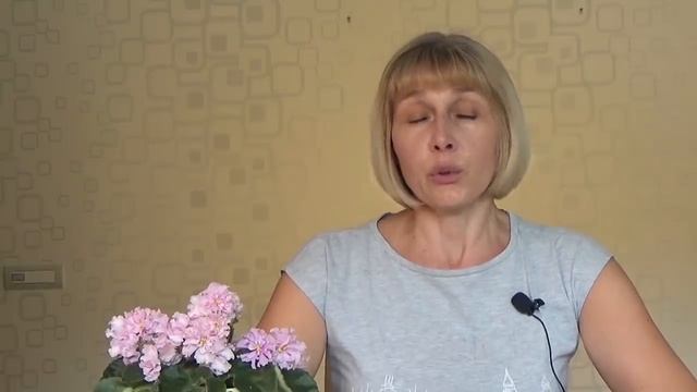 РАННИЕ ОГУРЦЫ. Вырастим без лишних усилий смотреть онлайн