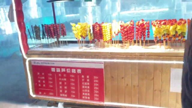 ХАРБИН Ледовый Город Китай! Гуляю по Харбину самый большой в МИРЕ! туры в Харбин из Владивостока! смотреть онлайн