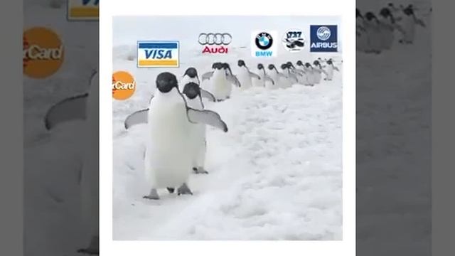 пусть бегут