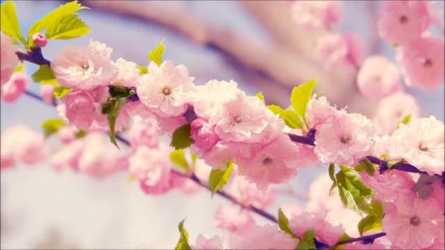 35.гр.Назарянин - КРАЙ ЧУДЕСНЫЙ смотреть онлайн