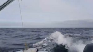 Бриз 17, Баренцево море