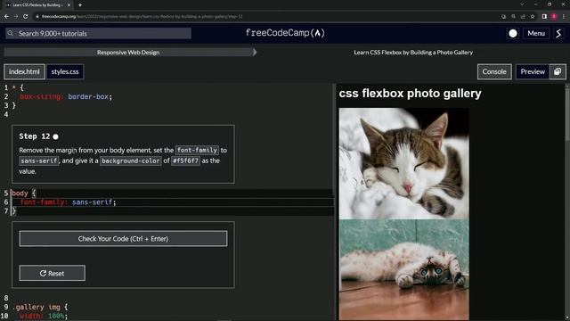 FreeCodeCamp | Learn CSS Flexbox by Building a Photo Gallery: Step 12 | Responsive Web Design смотреть онлайн