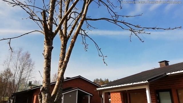 Татьяна. Финский Мойдодыр на автомойке / Весенние заботы. смотреть онлайн