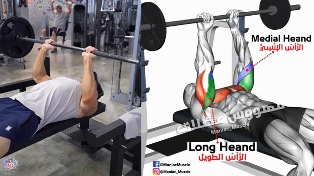 How To Build Your arms Fast (Biceps and Triceps)-تمارين بايسبس و ترايسبس смотреть онлайн