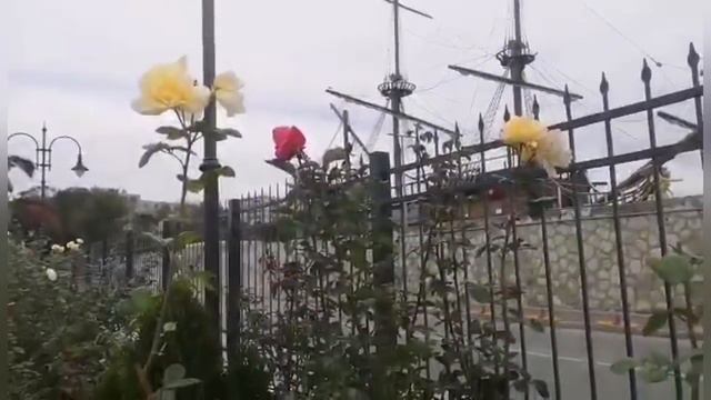 #vlog Жизнь в Болгарии. Хмурый ноябрь 2020. Что сейчас происходит в Варне. смотреть онлайн