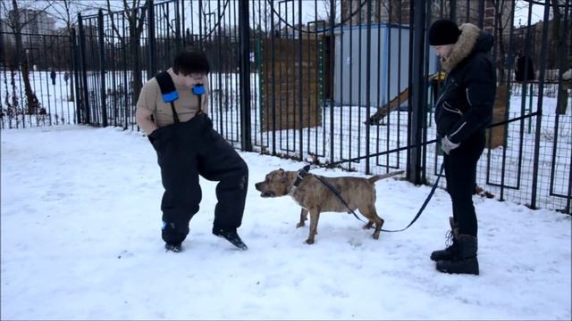 Перевод с рукава на ноги смотреть онлайн