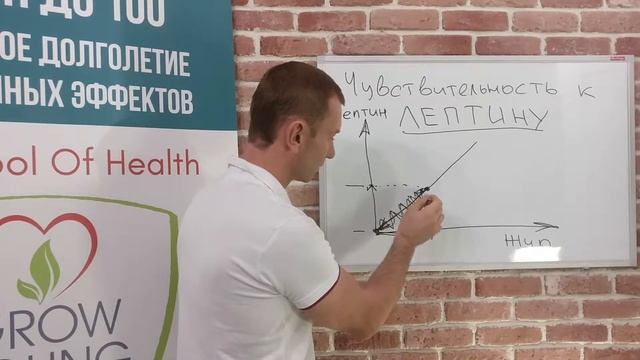 Гормон Лептин. Как быть сытым и стройным, а не голодным и тучным