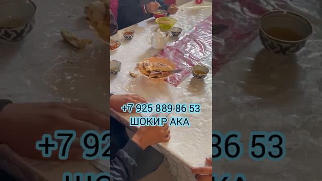 ГРАНИЦА КАЗАХСТАН ОТКРЫЛ. 19июля 2022 г. смотреть онлайн