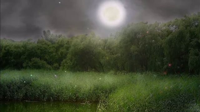 Nicolai Gedda Романс 'Тишина' смотреть онлайн