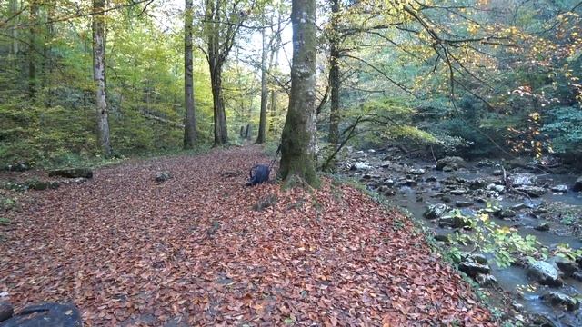 Агурские водопады. Орлиные скалы. Водопад Кейву смотреть онлайн