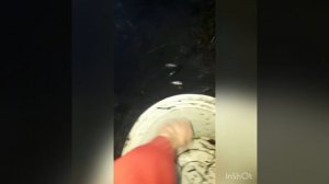 Рыбалка в Моздоке! #рыбалка #длядетей #дикоеозеро #бесплатнаярыбалка