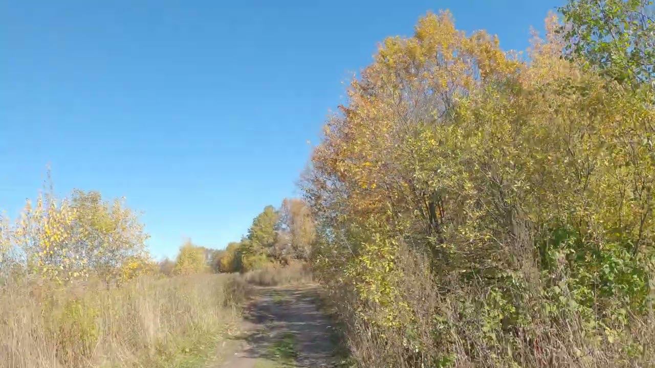 10.10.2022_7 смотреть онлайн