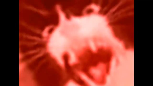 Орущий кот - будильник смотреть онлайн