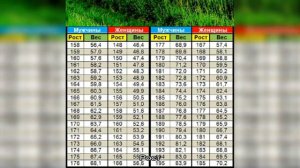 Рост и вес девочки в 16 лет