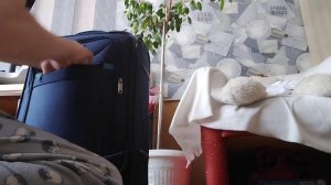 СБОРЫ В ЛАГЕРЬ🌼 сборы. новые вещи. распаковка. подарок. день рождения!