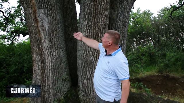 Emisioni Gjurmet z. Naim Bazaj, fisi Bazaj në fshatin Qëndresë të Drenasit смотреть онлайн
