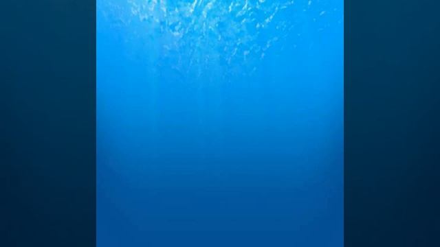 Roblox Titanic Soundtrack: 