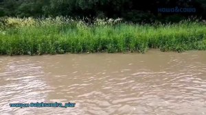 Такие как я