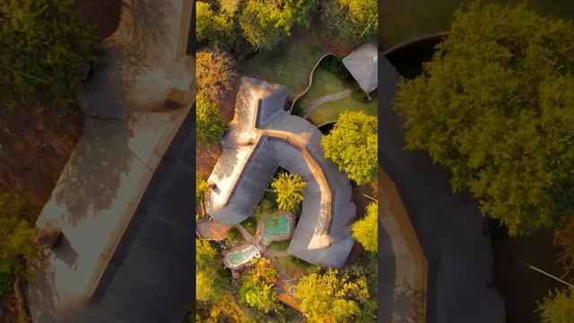 Go on a Safari смотреть онлайн