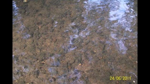 КАЛУЖСКИЙ КРАЙ смотреть онлайн