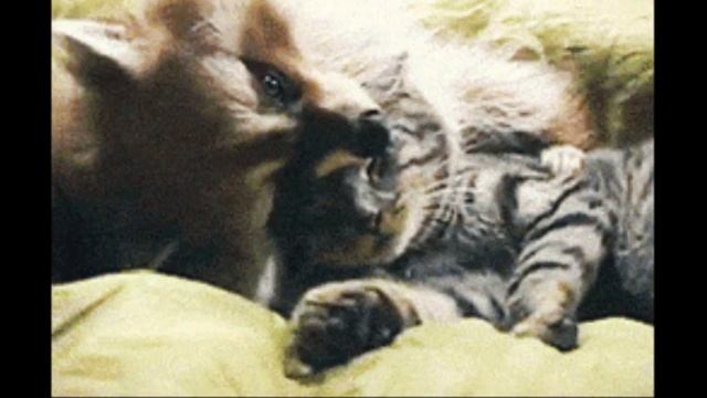 Дружба это не работа... смотреть онлайн