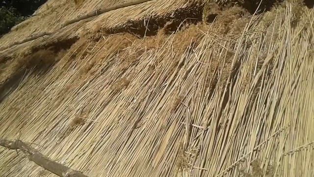 Тростниковая крыша завершающий этап