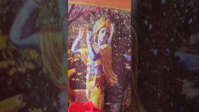 GOVINDA JAYA JAYA GOPALA JAYA JAYA RADHA RAMANA HARI GOVINDA JAYA! смотреть онлайн