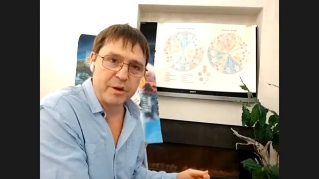 Международная научно-практическая онлайн- конференция смотреть онлайн