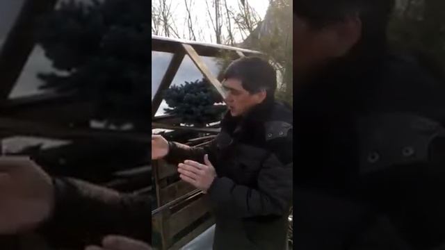 Укрывные растения смотреть онлайн