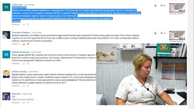 Хорошее средство от блох, корм для овчарки, родословная коту. Ветеринар отвечает 7-1 смотреть онлайн