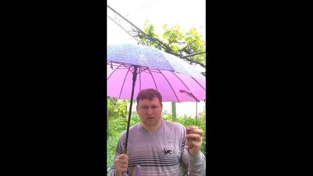 Как выбрать Газовую Плиту. 2-ой совет. смотреть онлайн