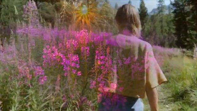 ИВАН-ЧАЙ. сл. Т. Ильиной Антуфьевой, муз. Ю. Старцева, исп. Татьяны  Снитко, клип В. Совковой.