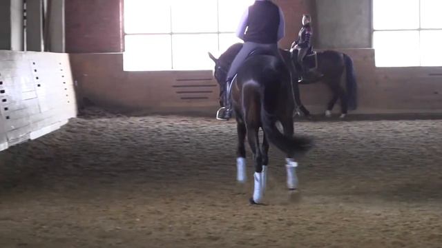 Выборг 7 смотреть онлайн