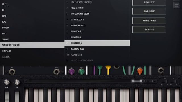Model 15 Modular Synthesizer - Moog Modular Synthesizer - SYMBIOTIC EQUATIONS смотреть онлайн