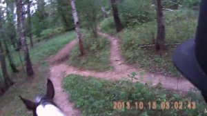 Верховая езда на лошади по лесу (ШВЕ «Династия»).