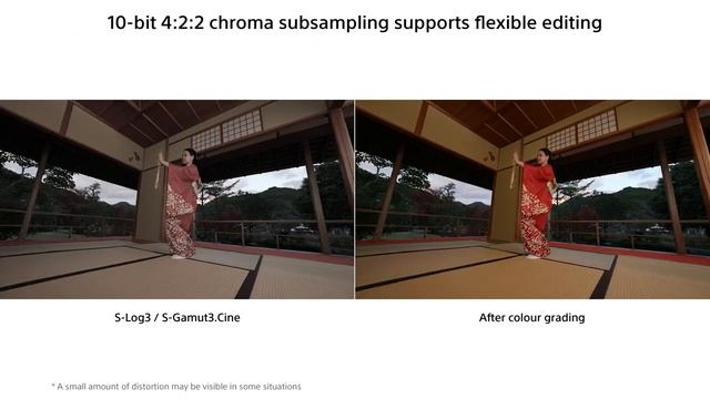 Sony Alpha 1 Presentation Overview смотреть онлайн